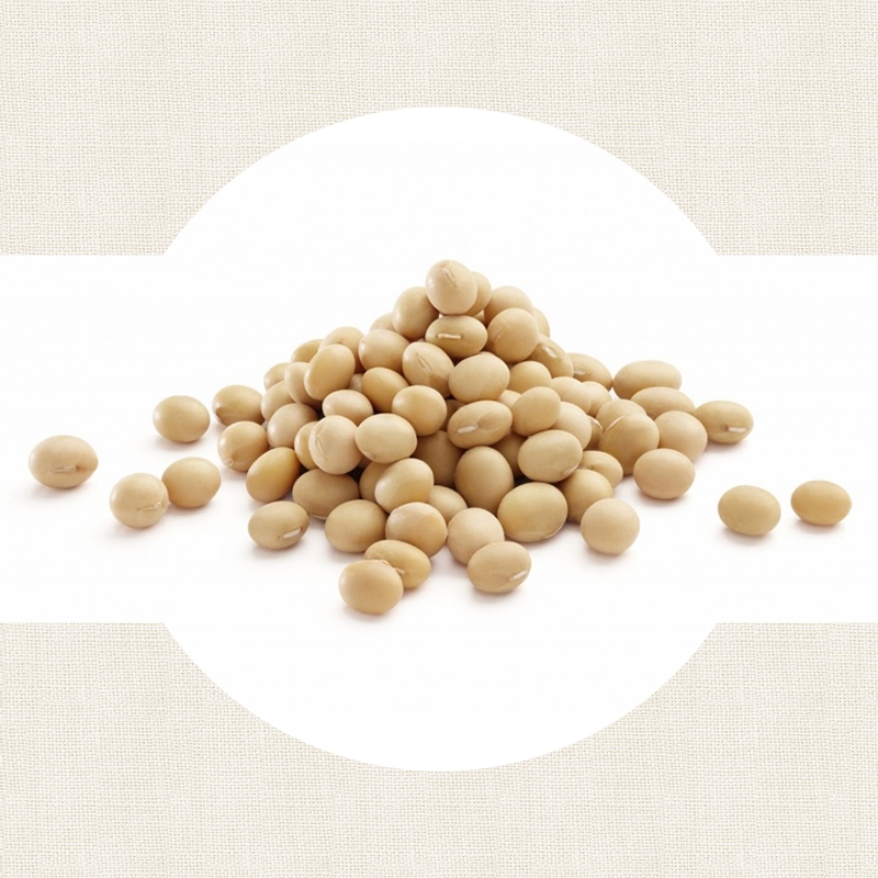 Soya